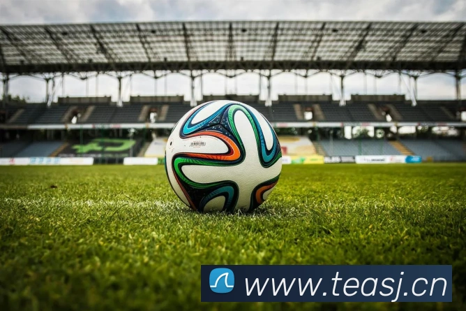 开云手机在线登陆入口平台生态图