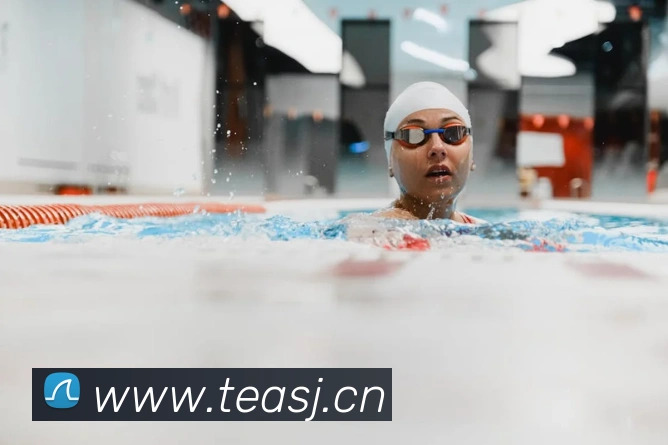 开云手机在线登陆入口全站App